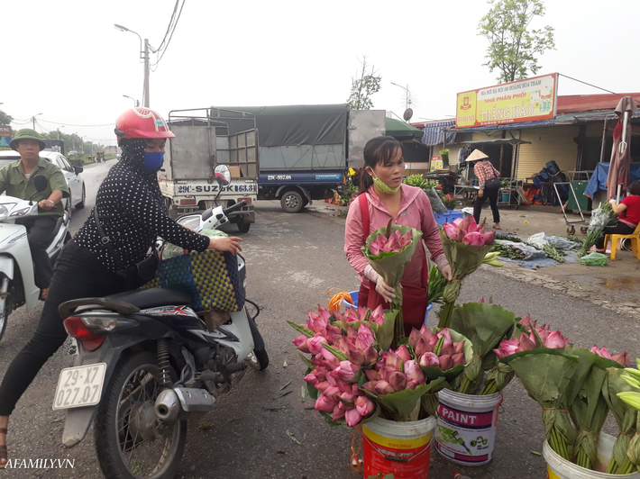 Tháng 5, sen hồng, sen trắng đầu mùa bán đầy các chợ, giá chỉ 30-120 ngàn đồng/bó, bà nội trợ thi nhau mua về cắm vì vẻ đẹp tao nhã - Ảnh 4.