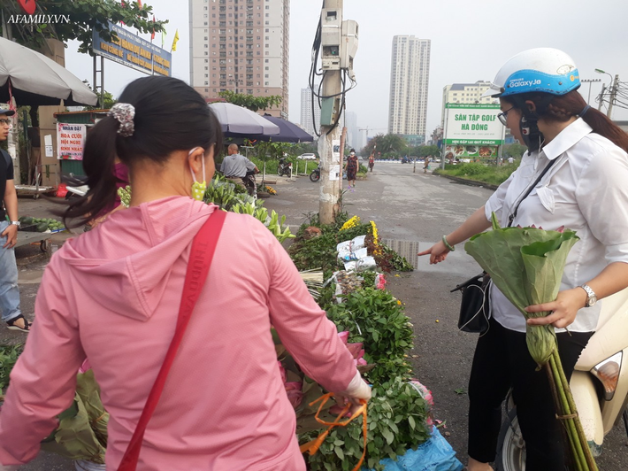 Tháng 5, sen hồng, sen trắng đầu mùa bán đầy các chợ, giá chỉ 30-120 ngàn đồng/bó, bà nội trợ thi nhau mua về cắm vì vẻ đẹp tao nhã - Ảnh 6.