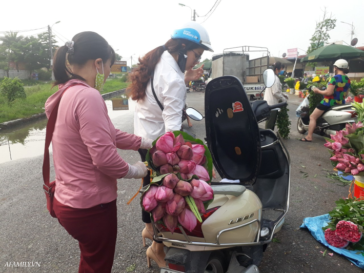 Tháng 5, sen hồng, sen trắng đầu mùa bán đầy các chợ, giá chỉ 30-120 ngàn đồng/bó, bà nội trợ thi nhau mua về cắm vì vẻ đẹp tao nhã - Ảnh 8.