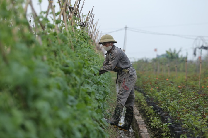 Nhịp sống Hạ Lôi ngày cuối cùng cách ly: 