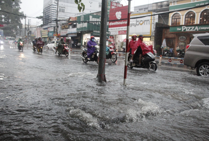 Mưa kèm gió mạnh, cây phượng lớn lại bật gốc đè xuống cổng trường mầm non ở TP.HCM khiến nhiều người hoảng hồn - Ảnh 5.