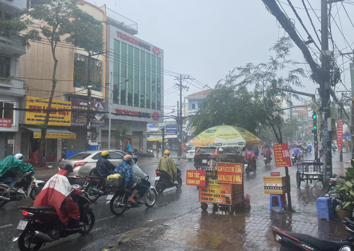 Mưa kèm gió mạnh, cây phượng lớn lại bật gốc đè xuống cổng trường mầm non ở TP.HCM khiến nhiều người hoảng hồn - Ảnh 2.