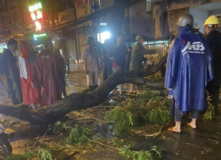 TP.HCM: Cây ngã trong đêm mưa đè 1 người đi bộ trên đường Tô Hiến Thành chết tại chỗ - Ảnh 1.