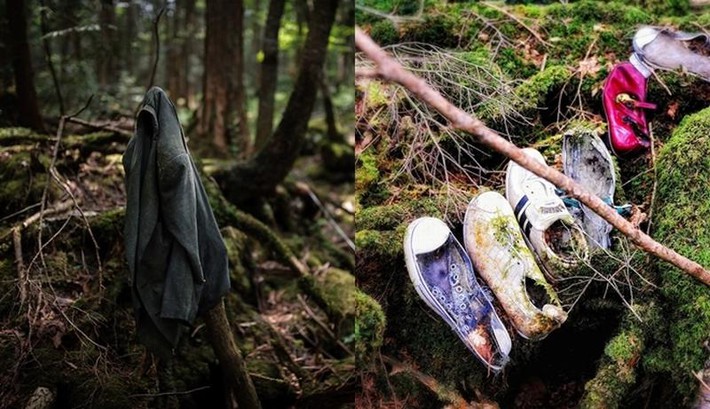 Khu rừng tự sát Aokigahara: Nơi tăm tối và im lặng tuyệt đối với những câu chuyện rùng rợn đầy ám ảnh - Ảnh 4.