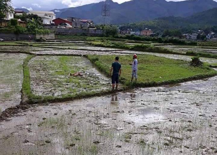 Nguyên nhân vụ thảm án 3 người tử vong ở Điện Biên: Do mâu thuẫn trong lúc đòi nợ, 3 người đâm chém nhau - Ảnh 2.