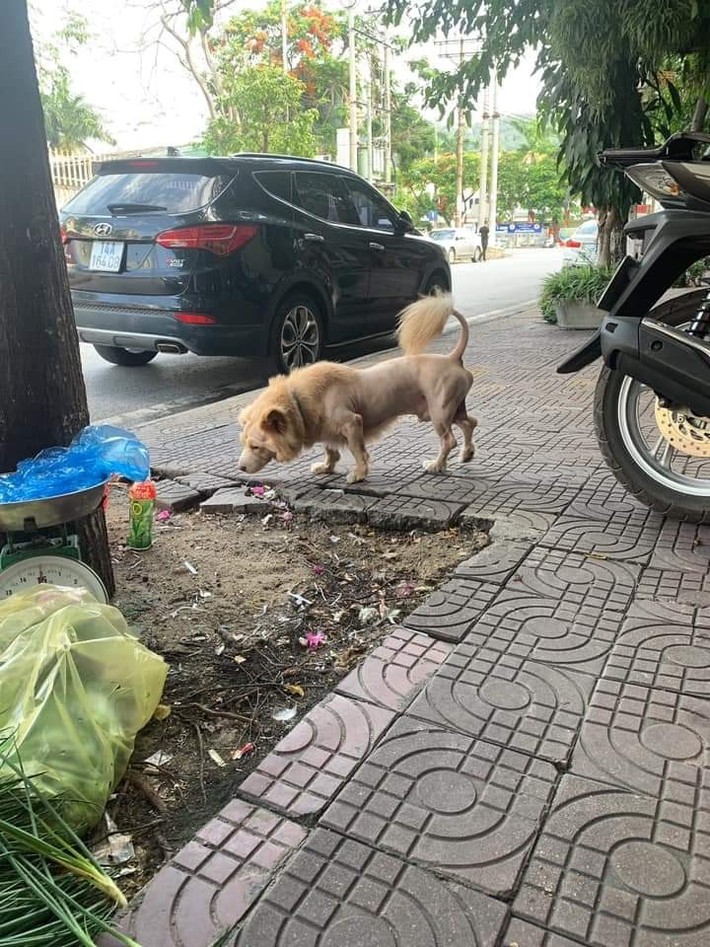 Thanh niên hú hồn chạm mặt chú 