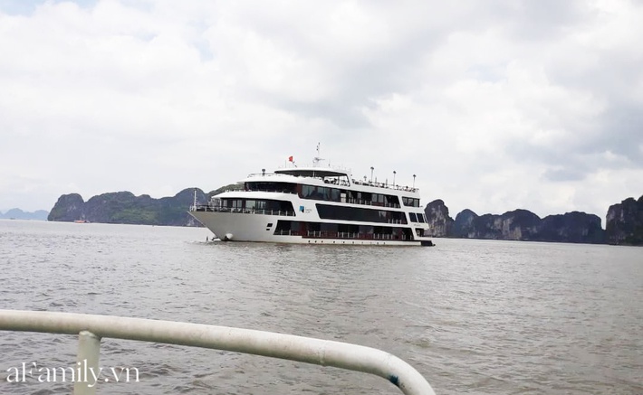 Muốn cho con đi nghỉ dưỡng sang chảnh, bố mẹ tham khảo ngay tour du lịch Hạ Long trên du thuyền, trẻ dưới 6 tuổi hoàn toàn miễn phí - Ảnh 1.