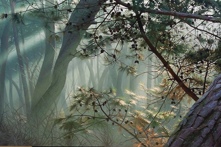 Hình ảnh cánh rừng xanh ngát xanh đem lại cảm giác yên bình khó tả nhưng ẩn chứa đằng sau đó là sự thật khiến ai cũng phải 