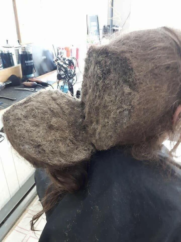 Mang mái tóc bết nhiều năm không cắt đến tiệm đòi phục hồi, cô gái khiến mọi người choáng váng với 