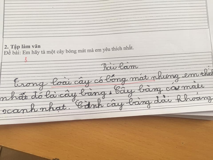 Cười đau bụng với những bài văn tả loại cây bóng mát yêu thích của học sinh lớp 1: Vừa hài hước lại có pha tổ lái khó đỡ - Ảnh 3.