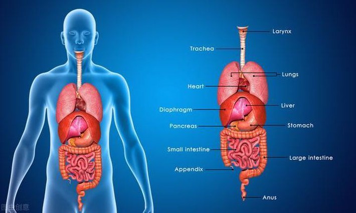 Bất thường xuất hiện ở 5 bộ phận trên cơ thể, cho thấy các cơ quan nội tạng quá 