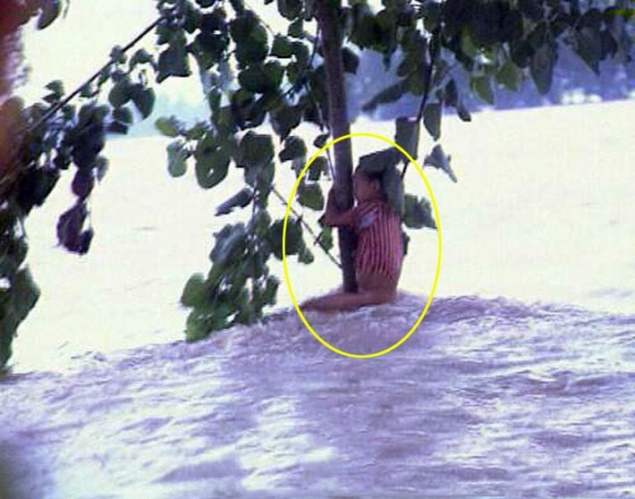 Cuộc sống sau 22 năm của cô bé 7 tuổi kiên cường ôm thân cây giữa trận lũ “đại hồng thủy” năm 1998 - Ảnh 1.