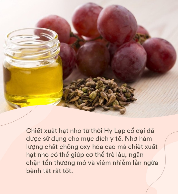 5 siêu dưỡng chất có khả năng chống lão hóa từ sâu trong cơ thể, chị em muốn khỏe đẹp trẻ lâu thì nên “thuộc nằm lòng” ngay - Ảnh 3.