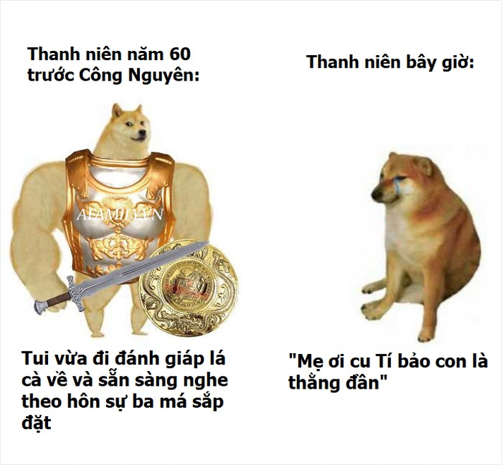 Sự thật về chó shiba béo mầm bị cả thế giới chế ảnh cười cợt - Ảnh 3.