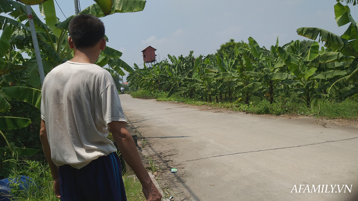 Hai bên đường làng hoang vắng