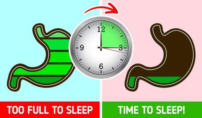 Điều gì xảy ra nếu bạn chợp mắt ngay sau khi ăn: Biết được rồi chắc chắn bạn sẽ cố thức chứ không dại gì mà nằm luôn xuống - Ảnh 5.