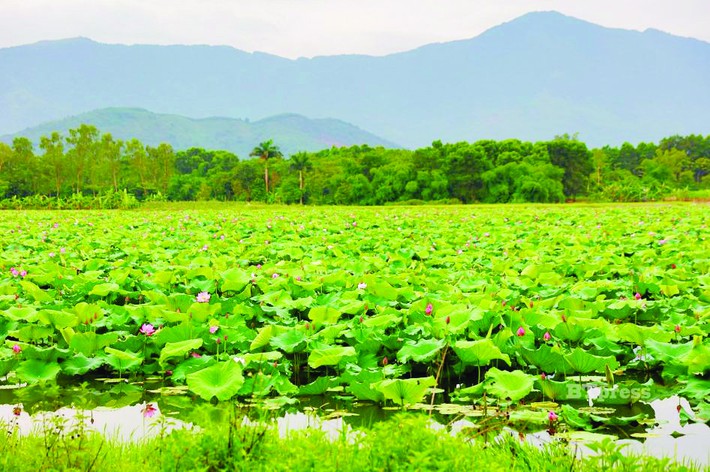 Sinh viên Hà Nội sắp chuyển vào 