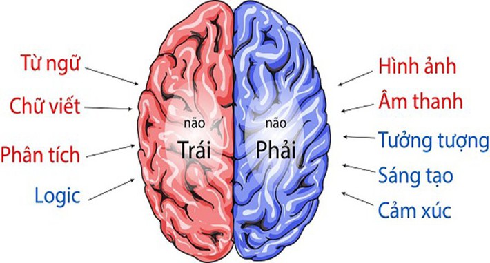 Trẻ có 3 đặc điểm này chứng tỏ não phải phát triển, tu dưỡng tốt có khả năng trở thành “cao thủ học tập” - Ảnh 1.