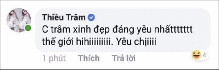 Thiều Bảo Trâm bị phát hiện dùng nick ảo tự khen mình nhưng lại sơ hở điều này khiến dân mạng ngao ngán  - Ảnh 3.