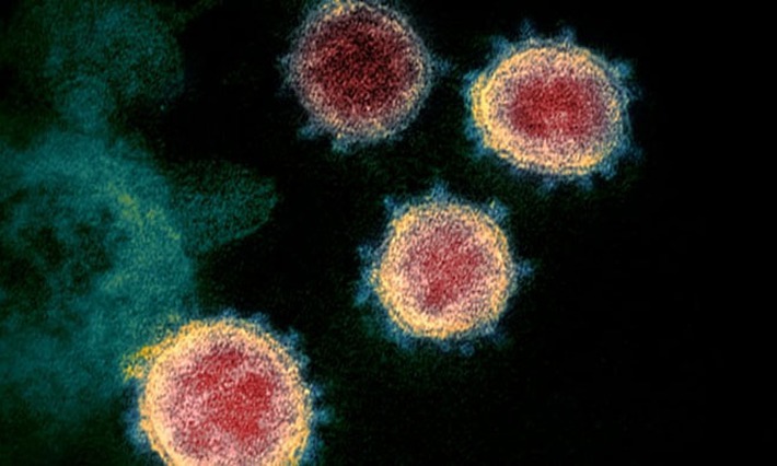 Virus SARS-CoV-2 biến thể lây lan cực nhanh, nguy hiểm gấp bội: 4 lý do được giới chuyên gia đầu ngành tiết lộ! - Ảnh 1.