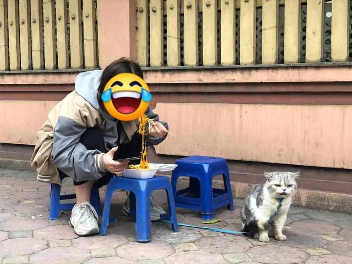 Dẫn mèo cưng đi ăn bánh tráng trộn, nhưng chỉ cho 1 miếng hành, 