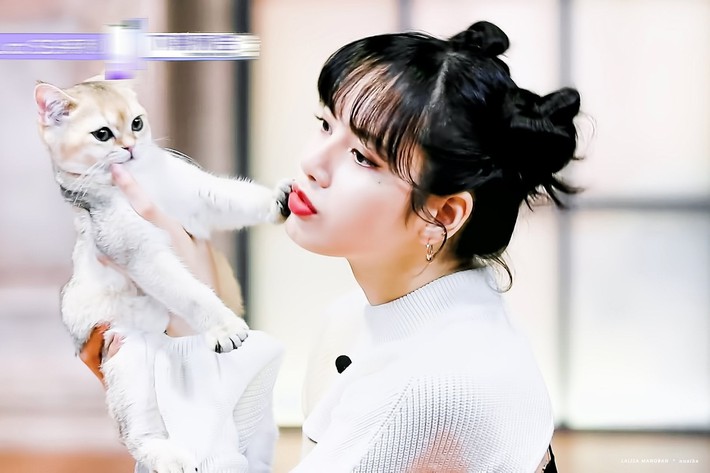 Thanh xuân có bạn 3: Lộ hình cưng xỉu của Lisa (BLACKPINK), còn chu môi hôn mèo khiến netizen phát cuồng - Ảnh 2.