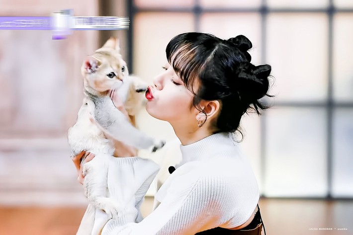 Thanh xuân có bạn 3: Lộ hình cưng xỉu của Lisa (BLACKPINK), còn chu môi hôn mèo khiến netizen phát cuồng - Ảnh 4.