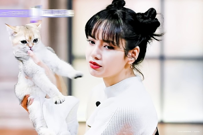 Thanh xuân có bạn 3: Lộ hình cưng xỉu của Lisa (BLACKPINK), còn chu môi hôn mèo khiến netizen phát cuồng - Ảnh 3.