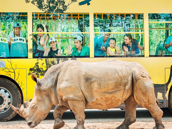 3 điểm Vinpearl Safari đang hót-hòn-họt trên khắp cả nước: Dù là trẻ em hay người lớn cũng đều mê tít! - Ảnh 1.