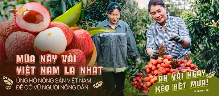 VinMart/VinMart  cam kết tiêu thụ 2.000 tấn vải thiều Lục Ngạn - Bắc Giang - Ảnh 5.