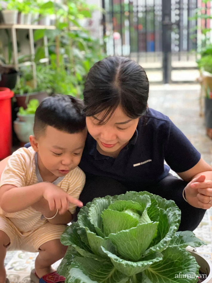 Mẹ Sài Gòn bật mí cách tận dụng đồ tái chế trồng cả vườn cây trái tốt tươi: Cả nhà vừa khỏe vừa vui, con lại thỏa sức sáng tạo - Ảnh 8.