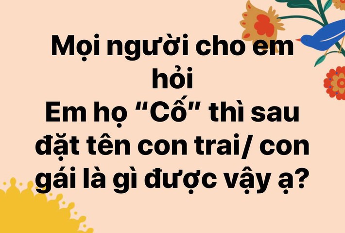 Gen Z họ Cố nhờ dân mạng đặt tên cho con, lội 8000 bình luận đọc xong cười sái cả quai hàm - Ảnh 1.