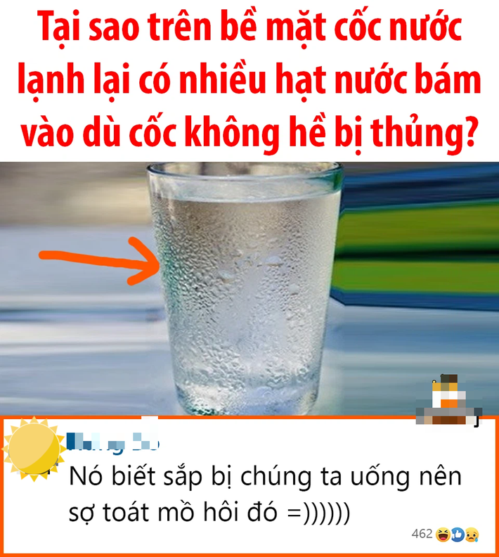 Câu hỏi 