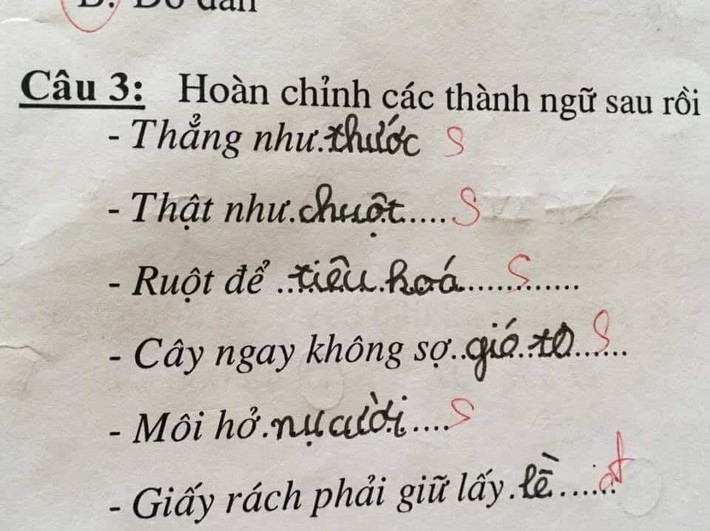 Học sinh tiểu học điền thành ngữ, 6 câu sai hết cả 5 nhưng dân tình thì khen lia lịa: Hay hơn cả 