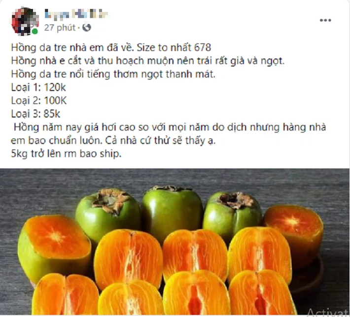 Hồng da tre giá cao hơn năm ngoái nhưng vẫn hút người mua  - Ảnh 4.