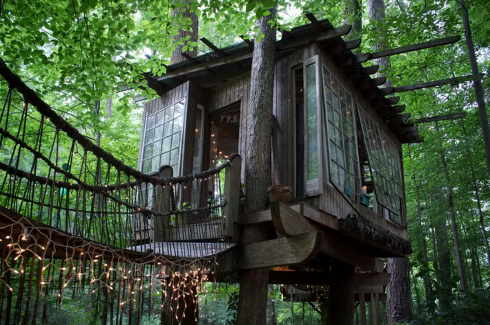 Những ngôi nhà trên cây tuyệt đẹp khiến bạn mộng mơ đến một cuộc sống chan hòa bên thiên nhiên - Ảnh 3.