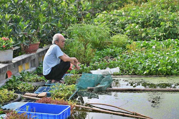An 87-year-old man willing to play with a pond on the roof and grow vegetables and fish: Many people say I am reckless - Photo 2.