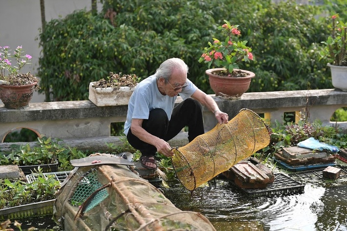 An 87-year-old man willing to play with a pond on the roof and grow vegetables and fish: Many people say I am reckless - Photo 4.