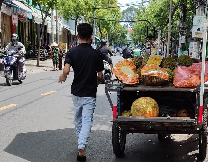 Red fleshed jackfruit peddling the price is still acrid - Photo 1.