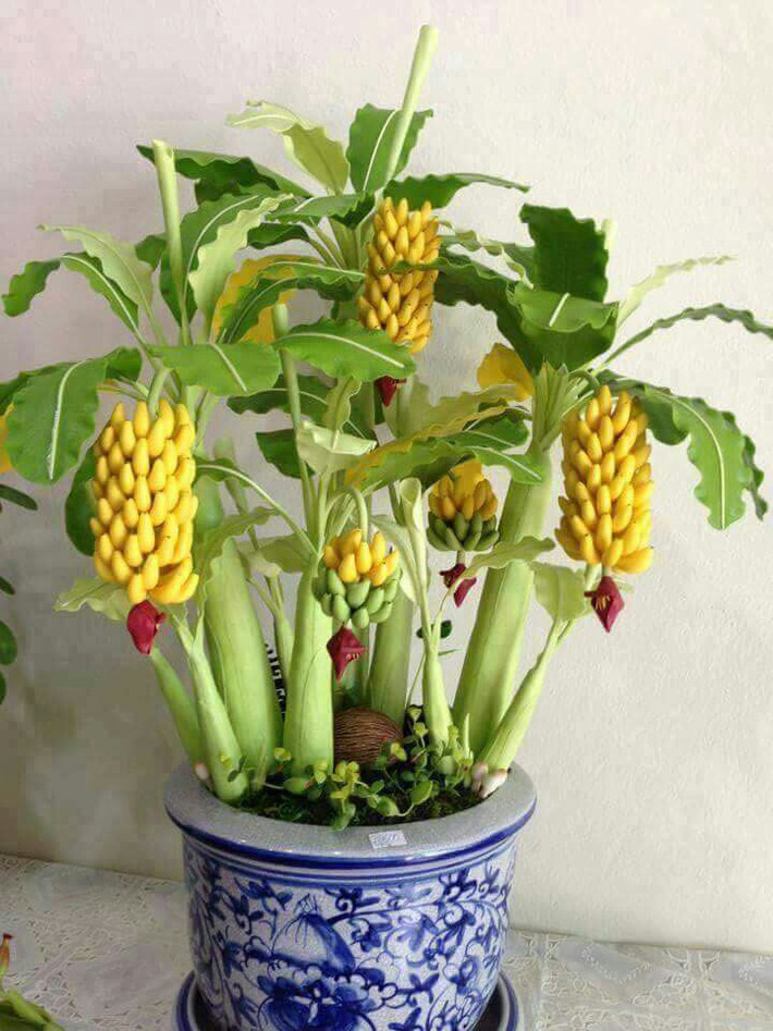 10 chậu bonsai cây ăn trái mini siêu đẹp dùng trang trí nhà dịp Tết - Ảnh 9.