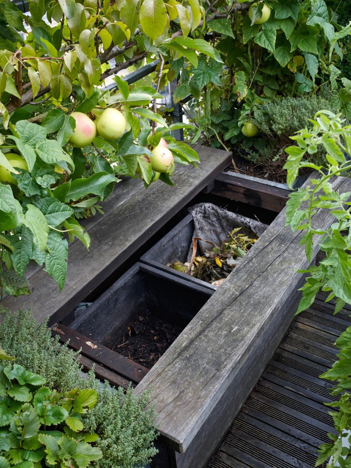 paris-roof-garden-marion-brenner-gardenista-dominique1309-204-e1471625887548-1508058355335-1675827805818-16758278059141841913041-1675827978535-16758279785931031811549.jpg