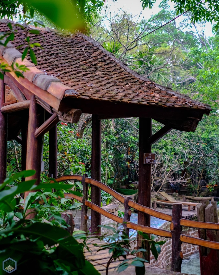 Người đàn ông “biến” mảnh đất 10.000m2 thành nhà vườn đậm chất cổ xưa: Đại gia đình quây quần, có cả không gian cho vợ cũ - Ảnh 16. Người đàn ông “biến” mảnh đất 10.000m2 thành nhà vườn đậm chất cổ xưa: Đại gia đình quây quần, có cả không gian cho vợ cũ - Ảnh 16.