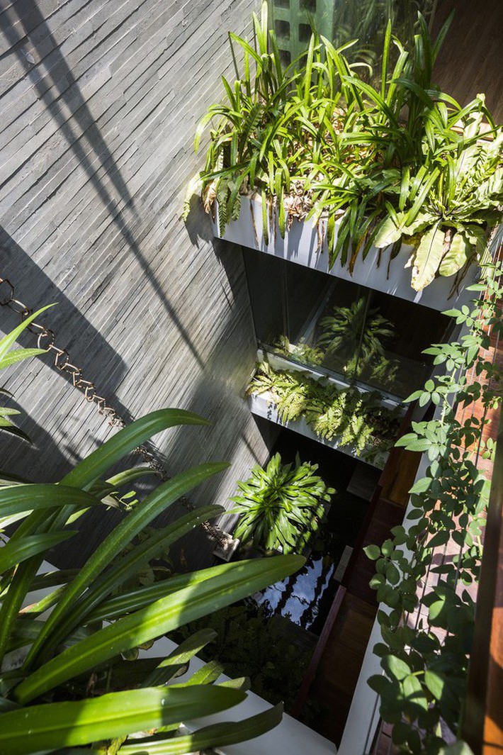 Ngôi nhà sâu 35m với khu vườn trên sân thượng đẹp muốn hờn ở Đà Nẵng - Ảnh 6.