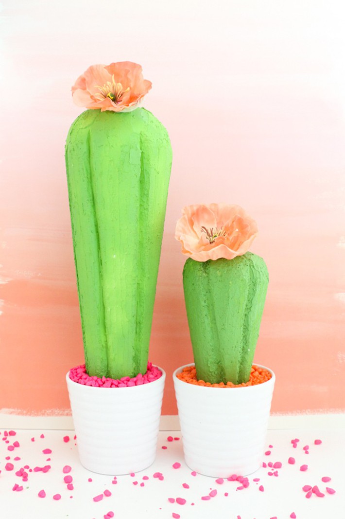 A series of cool home decoration ideas from tiny cactus - Photo 20.