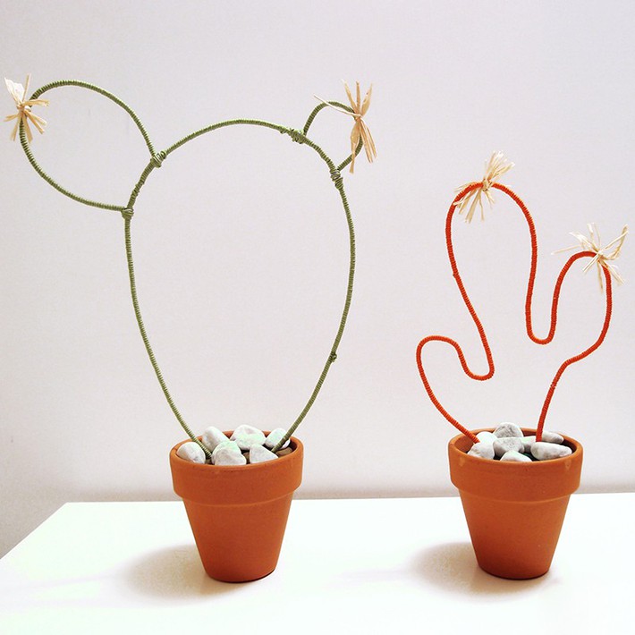 A series of cool home decoration ideas from a tiny cactus - Photo 2.