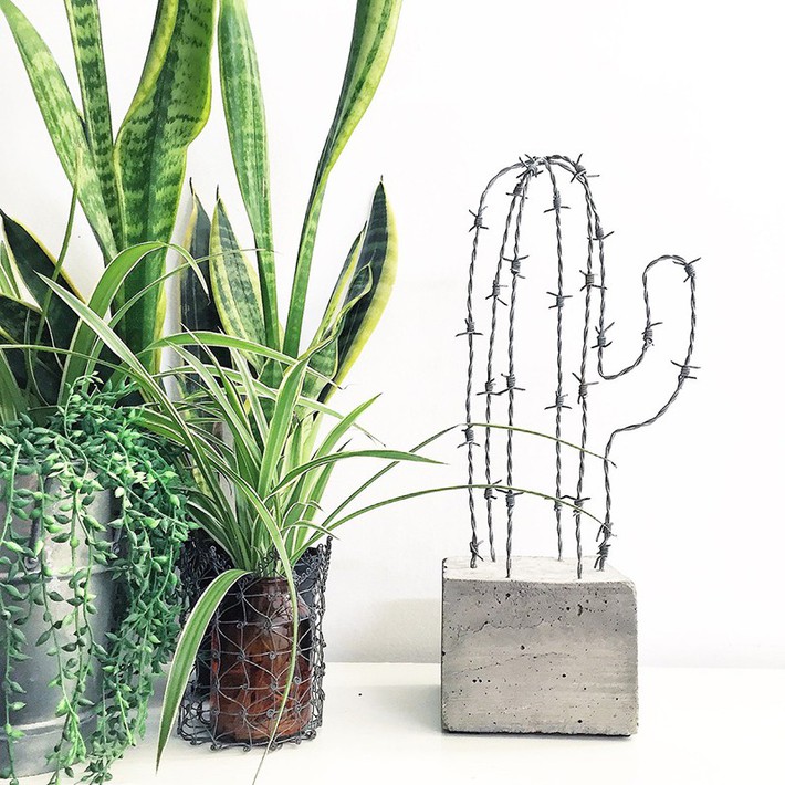 A series of cool home decoration ideas from tiny cactus - Photo 3.