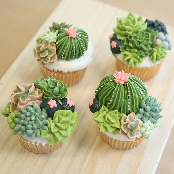 A series of cool home decoration ideas from a tiny cactus - Photo 4.