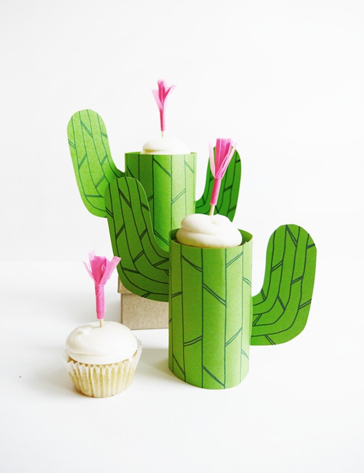 A series of cool home decoration ideas from tiny cactus - Photo 15.
