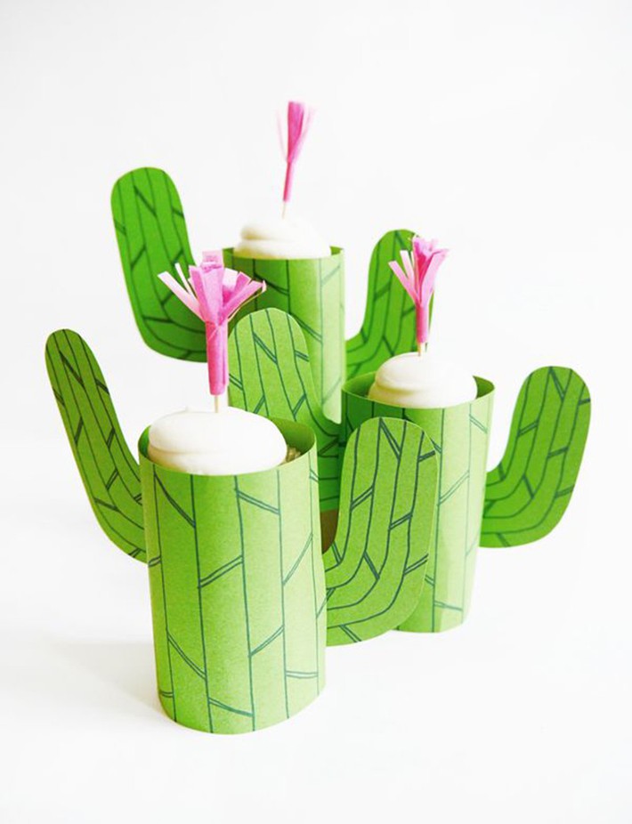 A series of cool home decoration ideas from tiny cactus - Photo 16.