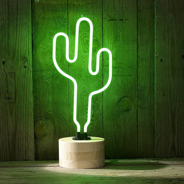 A series of cool home decoration ideas from tiny cactus - Photo 18.